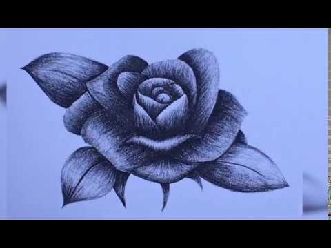 Flower Drawing - Learn to Draw Exquisite Flowers