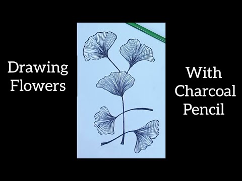 How to draw Flowers Drawing with charcoal pencil Easy Drawing glitteryart drawing
