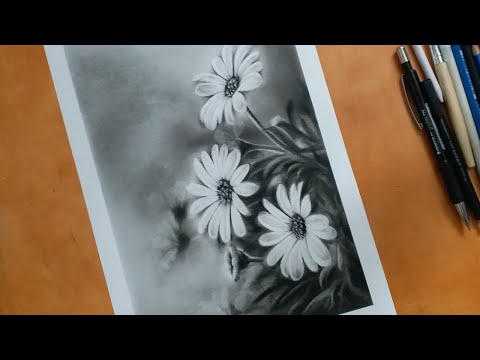 how to draw flowers  drawing with charcoal pencils