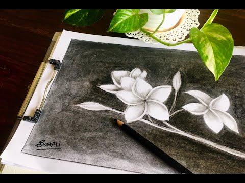 Charcoal Art for Beginners  Plumeria  Flowers  How to Sketch with Charcoal  Easy drawing 