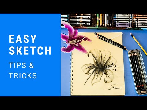 Sketching Tutorial Video  Lilly Flower Charcoal Drawing by Rooshy Art Studio