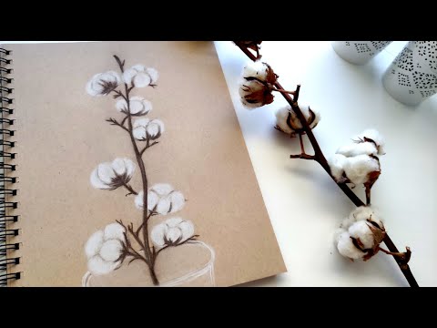 COTTON FLOWERS CHARCOAL DRAWING ON TONED PAPEReasy step by step tutorialdrawing with charcoal