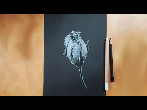 How To Draw Rose Flower  charcoal drawing for beginners