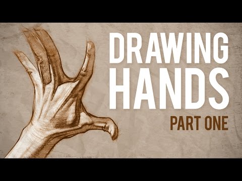 How to Draw HANDS  Muscle Anatomy of the Hand