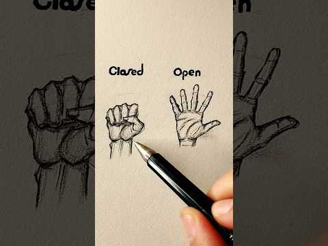 How To Draw Hands  for beginners
