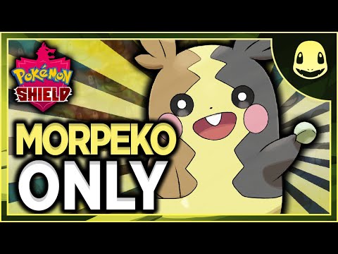 Can I Beat Pokemon Shield With Only Morpeko NO ITEMS IN BATTLE