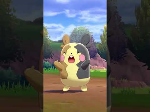 Facts about Morpeko you might not know  Pokemon Facts PokeFacts