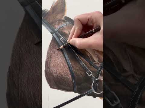 Realistic horse drawing  I made this draw with colored pencils realisticdrawing drawing horse