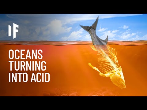 What If All Oceans Turned Into Acid