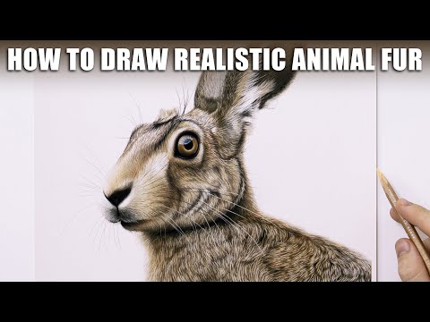 How To Draw Realistic Animal Fur Hare  Pastel Art Tutorial BEGINNERS 4K