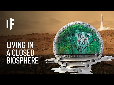 What If You Lived In a Closed Biosphere