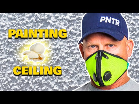 HOW TO PAINT ACOUSTIC CEILINGS  How To Paint Popcorn Ceilings  Ceiling Hacks