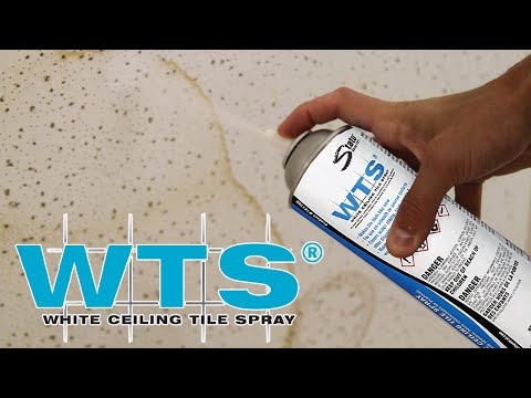 WTS White Ceiling Tile Spray