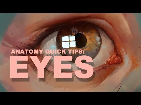 Anatomy Quick Tips Eyes
