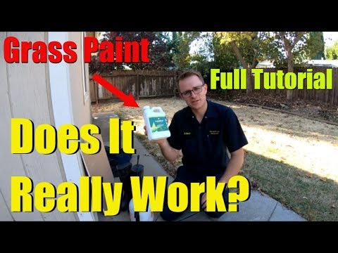 Does Grass Paint Really Work  Full Tutorial