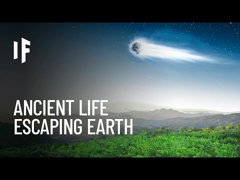 What If Ancient Life Escaped Earth