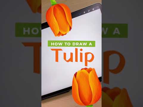 How to Draw a Tulip Shorts