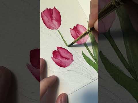 Watercolor Painting tulips  art painting watercolor how