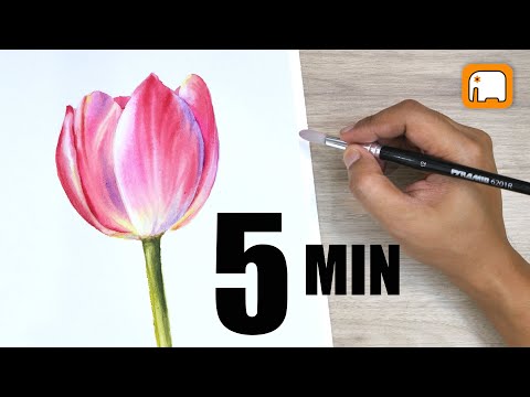 5 minute PINK TULIP  watercolour tutorial  Watercolor painting for beginner  Step by step
