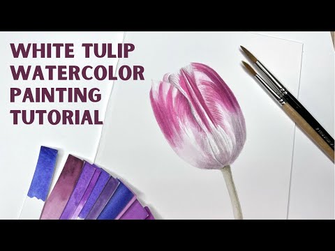 White Tulip watercolor painting  Realistic Flower Painting  How to paint Tulip