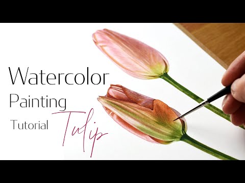 How to paint a Tulip with watercolors  Calming watercolour painting tutorial  Paint with me