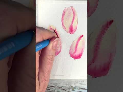 How to Paint Watercolor Tulips One Brush and One Technique  shorts