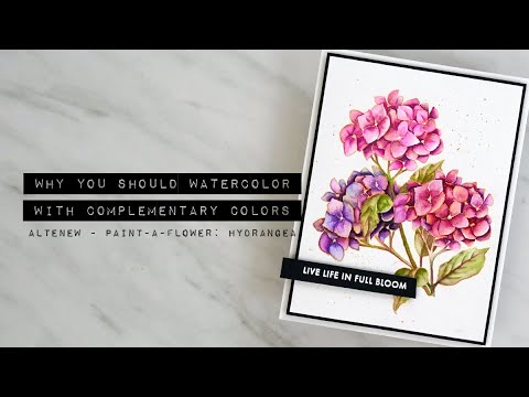 Why You Should Watercolor with Complementary Colors  Altenew PaintaFlower Hydrangea
