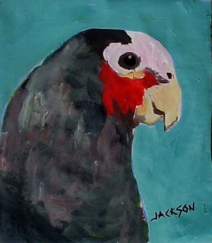 parrot painting