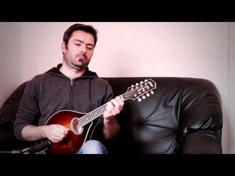 Irish mandolin lessons Cooley39s morning dew reel