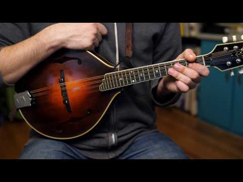 Beginner Mandolin Lessons Series Part Six Your First Tune Cindy