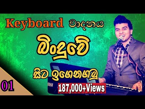 Keyboard Lesson in Sinhala  Lesson 01  Keyboard Vadanaya