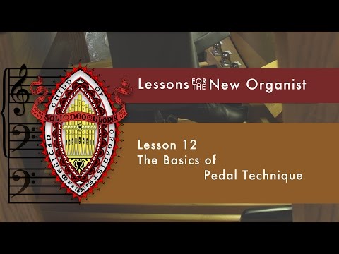 Lesson 12 The Basics of Pedal Technique