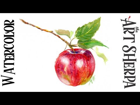 RED APPLE ON BRANCH Easy How to Paint Watercolor Step by step  The Art Sherpa