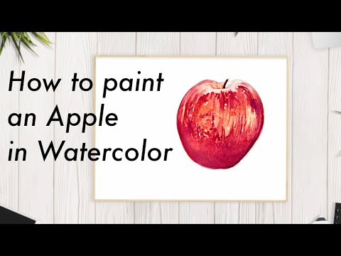 Watercolor Painting Apple Illustration  SPEED PAINT