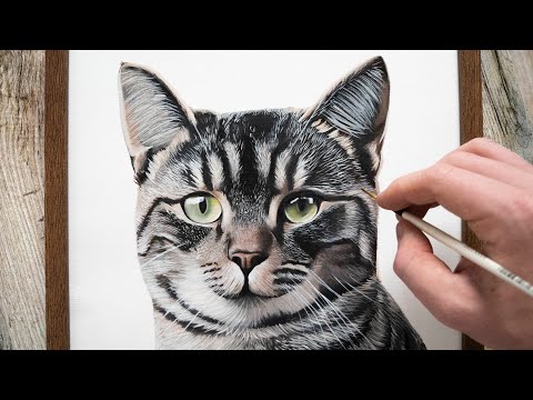 Oil Painting for BEGINNERS  How to Paint a Realistic Cat Tutorial