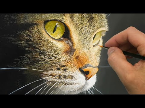 Painting a Cat  Episode 201