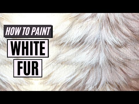 How to Paint WHITE FUR with Acrylics or Oil Paint