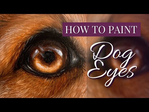 How to Paint DOG EYES with Oil Paint or Acrylic Paint  Golden Dog Eye Tutorial  Oil Painting