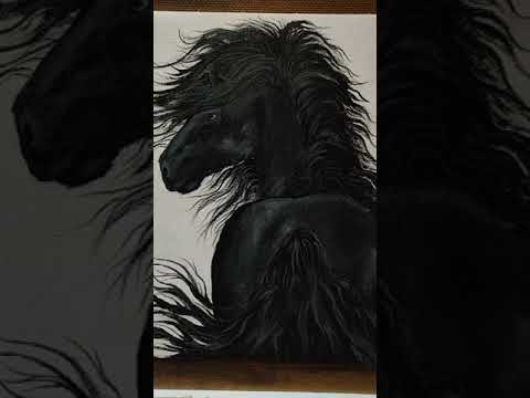 Acrylic Painting of Black Horse acrylic acrylicpainting art painting sketch sketching horse