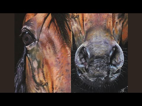 How to Paint a Realistic Horse  Portrait Painting  Timelapse Acrylic Painting