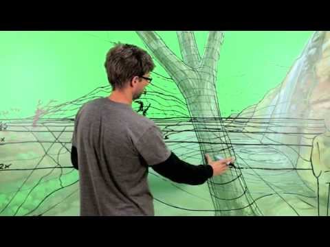 Explore the Beauty of Landscape Painting: 40 Instructional Video Lessons