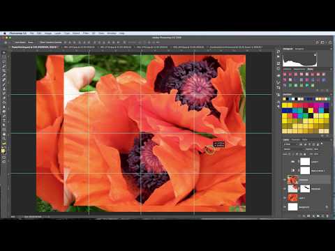 Photoshop for Painters