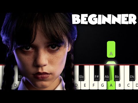 Bloody Mary  Wednesday Addams Lady Gaga  BEGINNER PIANO TUTORIAL  SHEET MUSIC by Betacustic