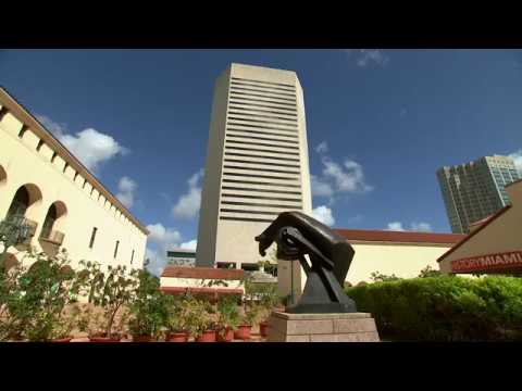 Art in Public Places Large Horse at Main Library