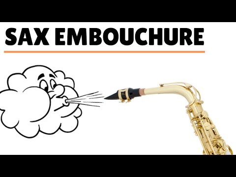 How To Blow Your Sax Embouchure Beginner Saxophone Lesson 3