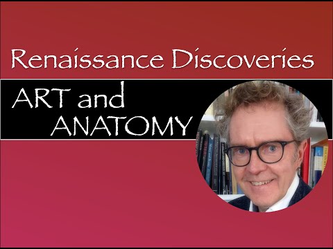 Renaissance Discoveries Art and Anatomy