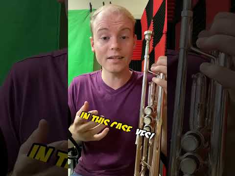Is a bright sound bad  Trumpet Lessons