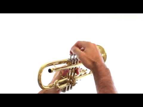 Trumpet Lesson 1 Holding the Trumpet