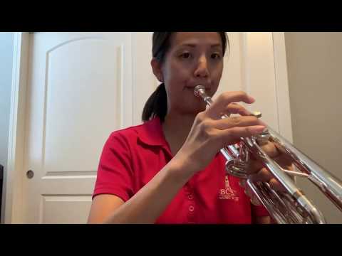Trumpet  lesson 1  how to play my first 5 notes