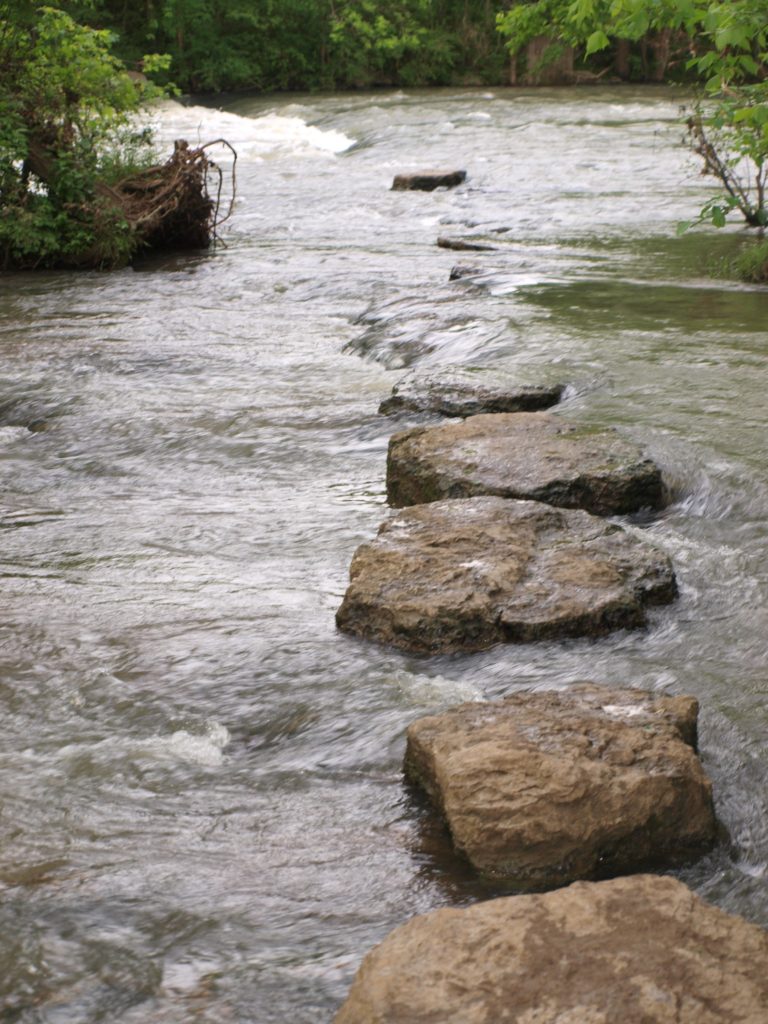 rocks_across_stream_pic